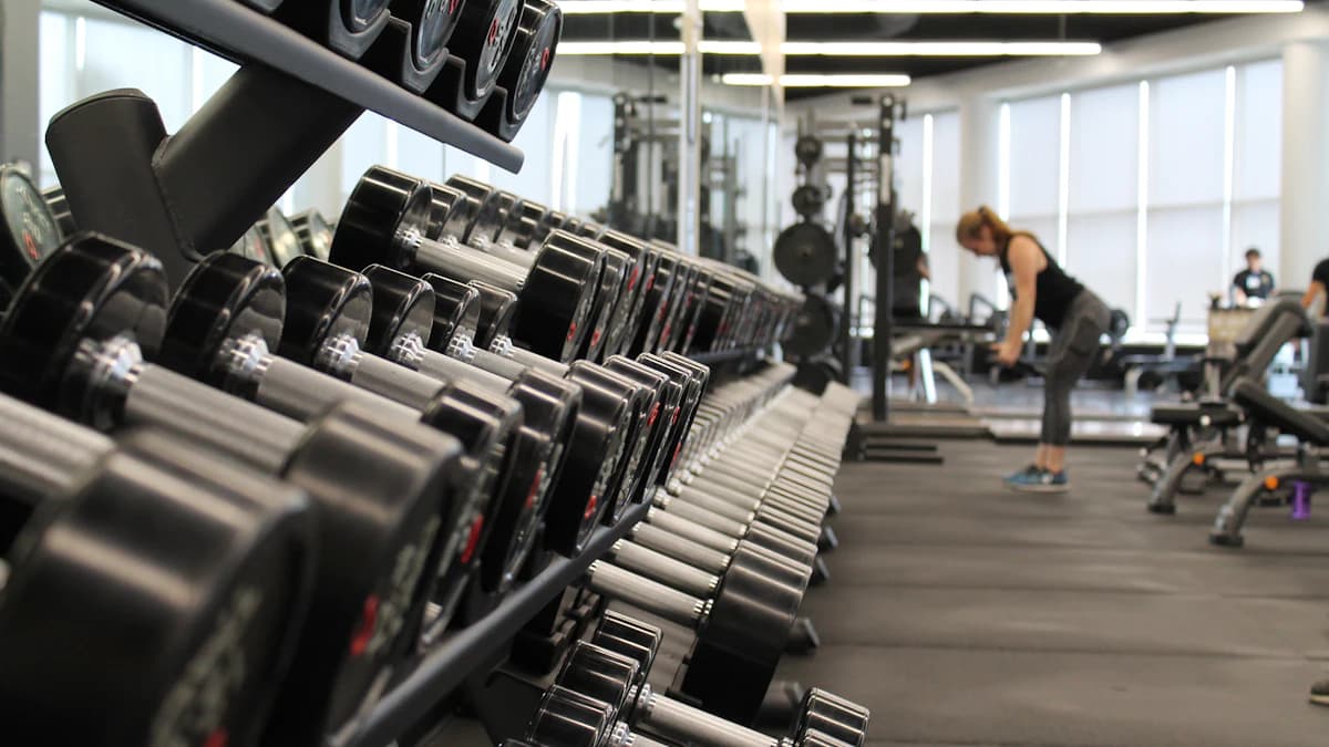 Row of dumbbells in a modern gym